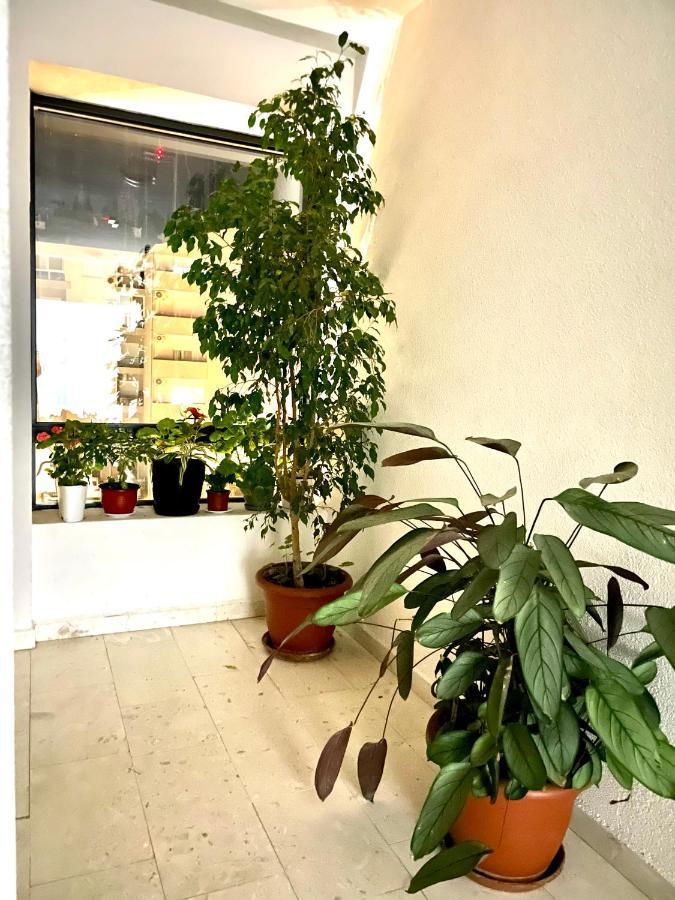 Naki Apartman Apartment Podgorica Bagian luar foto